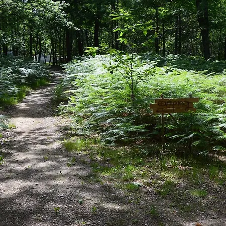 Camping Camping Etang Vallier Brossac