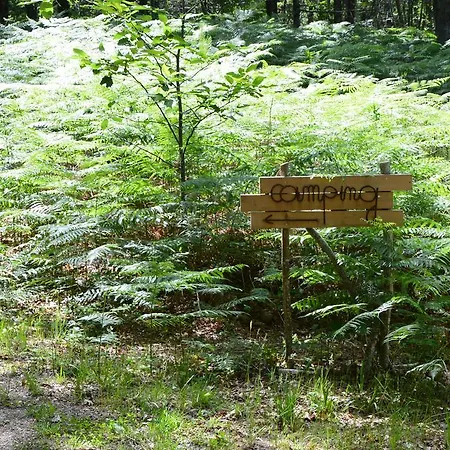 Camping Etang Vallier Brossac