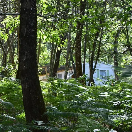 Camping Etang Vallier *